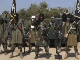 Boko Haram deixa 12 pessoas mortas após ataques em Camarões